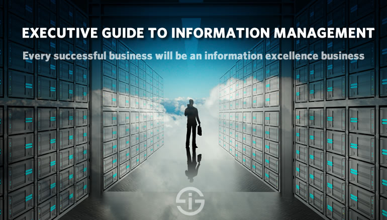 Information management and strategy - an executive guide