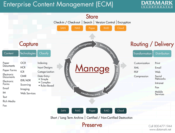 A variation on the AIIM ECM model by DATAMARK - source infographic